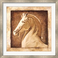Framed Equus