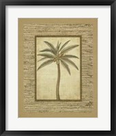 Framed Date Palm