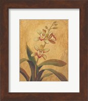 Framed Orchid In Landscape I