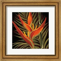 Framed Birds of Paradise I