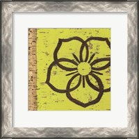 Framed Key Lime Rosette I