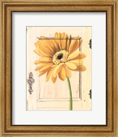 Framed Daisy Door