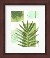 Framed Leaf Impressions II