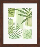 Framed Leaf Impressions IV