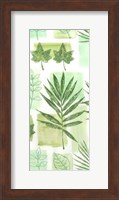 Framed Leaf Impressions VI