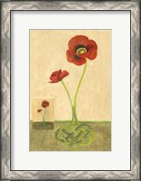 Framed Entwined Poppies