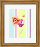 Framed Flowers & Stripes II