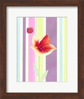 Framed Flowers & Stripes IV