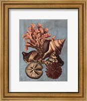 Framed Crackled Shell and Coral Collection on Aqua I