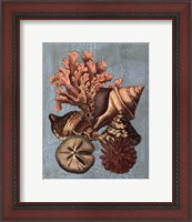 Framed Crackled Shell and Coral Collection on Aqua I