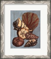 Framed Crackled Shell and Coral Collection on Aqua II