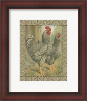 Framed Cassell's Roosters with Border II