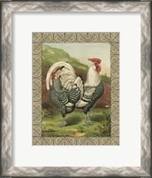 Framed Cassell's Roosters with Border III