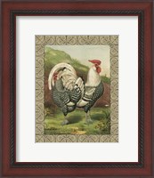 Framed Cassell's Roosters with Border III