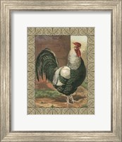 Framed Cassell's Roosters with Border IV