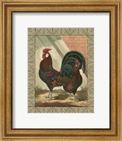 Framed Cassell's Roosters with Border V