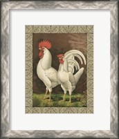 Framed Cassell's Roosters with Border VI