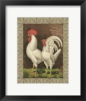 Framed Cassell's Roosters with Border VI