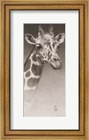 Framed Jean, the Giraffe