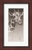Framed Jean, the Giraffe