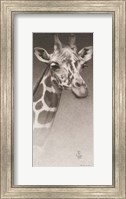 Framed Jean, the Giraffe
