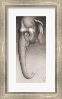 Framed Toni, the Elephant