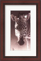 Framed Grant, the Zebra