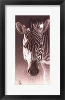 Framed Grant, the Zebra