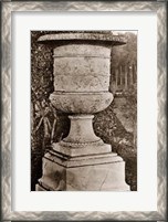 Framed Versailles Urn II