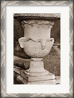 Framed Versailles Urn III