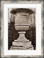 Framed Versailles Urn IV