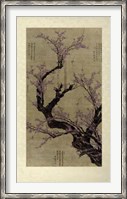 Framed Plum Blossom Tree