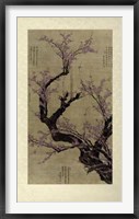 Framed Plum Blossom Tree