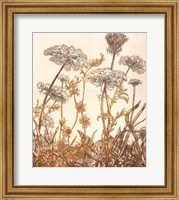 Framed Field of Lace I