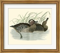 Framed Ducks II