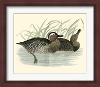 Framed Ducks II