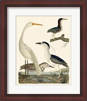 Framed Heron Family II