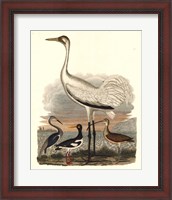 Framed Heron Family III