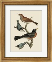 Framed Bird Family I