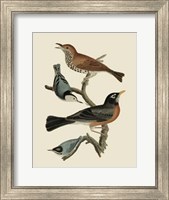 Framed Bird Family I