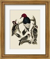 Framed Bird Family III