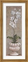 Framed Lavish Orchids I