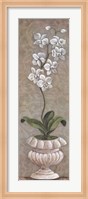 Framed Lavish Orchids I