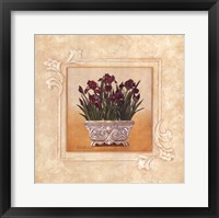 Framed Red Irises