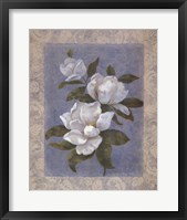 Blue Magnolias II Framed Print