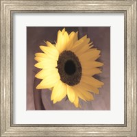 Framed Sunflower