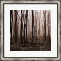 Framed Winter Woods