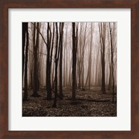 Framed Winter Woods