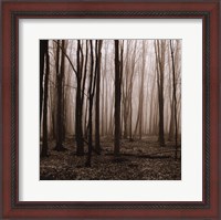 Framed Winter Woods