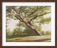 Framed Leaning Tree, 2003